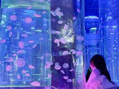 -海合安成都极地海洋公园