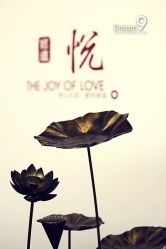 Dream9婚礼公馆-中茵皇冠假日酒店·宴会厅