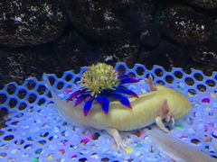 -洛阳龙门海洋馆