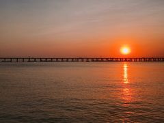 -宝安西湾红树林湿地公园