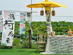 -七的湖·晚芳亭·阳澄湖农家菜·大闸蟹(莲花岛店)