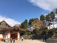 -名古屋城