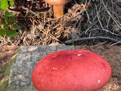 -北京宽沟会议中心