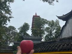 -宝光寺