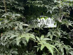 -斯多格书乡(北京大学畅春园店)