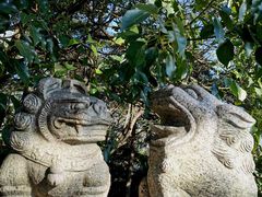-阅江楼风景区