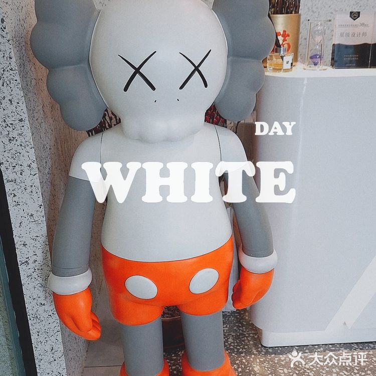 海口探店‖我私藏第一家ins风格的美发店