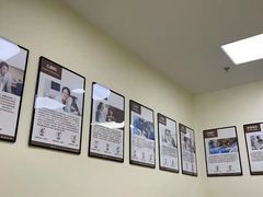-美联众合动物医院·24h转诊中心
