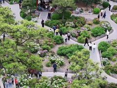 -迎泽公园