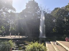 -九龙公园