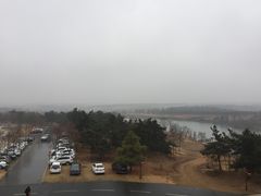 -东海森林温泉度假酒店