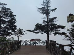 -瓦屋山景区
