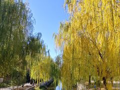 -元大都城垣遗址公园