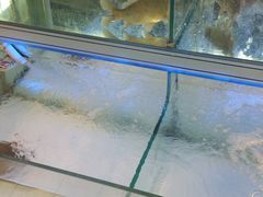 -世纪联华(吴淞店)