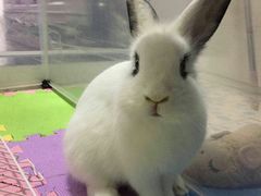 -雨林宠物医院 非犬猫异宠专科