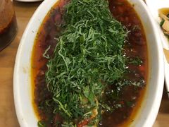 -老字号怡玺·藿香雅鱼(20年雅安店)