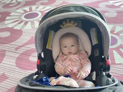 -上海小南国(国会店)