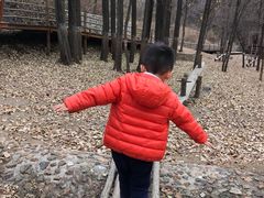 -蟠龙山长城景区