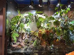 -豫丰汇河南名菜楼(武记餐饮)