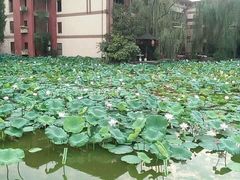 -天赐温泉
