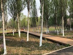 -东郊湿地公园