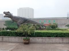 -陕西自然博物馆