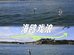 -三仙山风景区-蓬莱仙岛