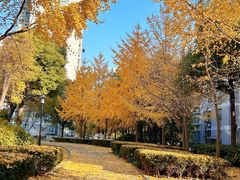 -梦都海鲜酒家(万达广场江桥店)