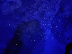 -怀托摩萤火虫洞