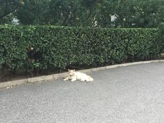 -康梦圆国际老年公寓