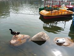 -莲湖公园