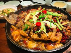 -老板恋上鱼(荣盛广场店)