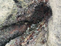 -在海一方公园