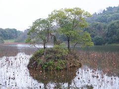 -福建鲤鱼洲酒店