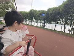 -艾溪湖湿地公园