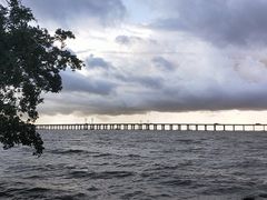 -宝安西湾红树林湿地公园