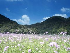 -广州市石门国家森林公园