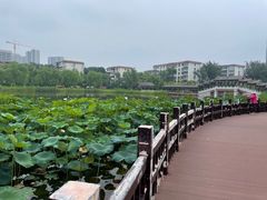 -西海子公园