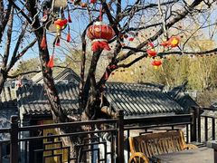-悦真雅院·四合院·清真私房菜(雍和宫店)