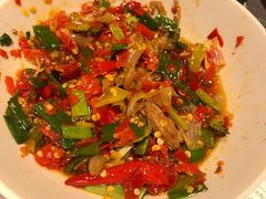 鸭掌筋-壹盏灯(惠农店)