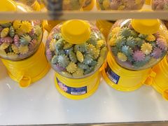 -爱维尔阳光蛋糕(越湖店)