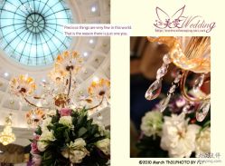 美雯苏宁卢浮宫-苏宁环球套房饭店·宴会厅