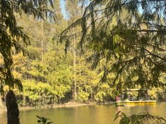 -上海海湾国家森林公园