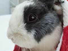 -惠康宠物医院(华能路店)