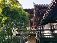 -大唐贡茶院