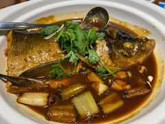 红烧水库鱼头【泡饭】-晋家门(文峰广场店)