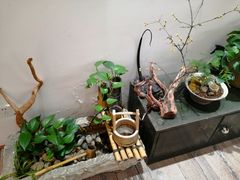 -八哥美术·成人美术画室(总校区)