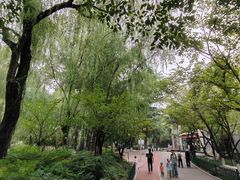 -西安市长乐公园