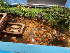 大堂-丰茂烤串(金泉美食宫店)