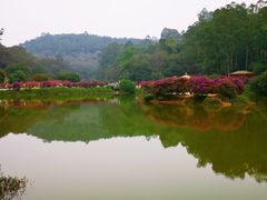 -南国桃园旅游度假区